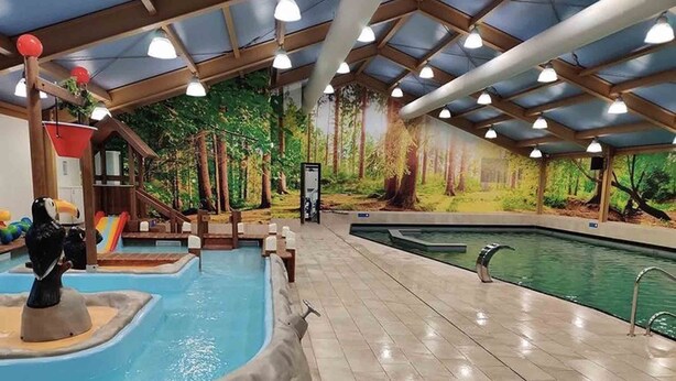 Una piscina interior con un mural de un bosque, un tobogán y una escultura de un tótem.