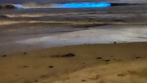 Uma praia com mar calmo e céu nublado.