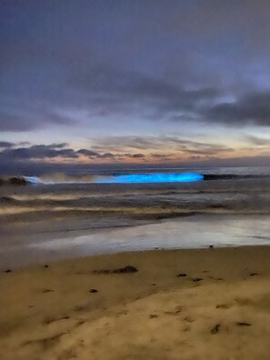Am Strand