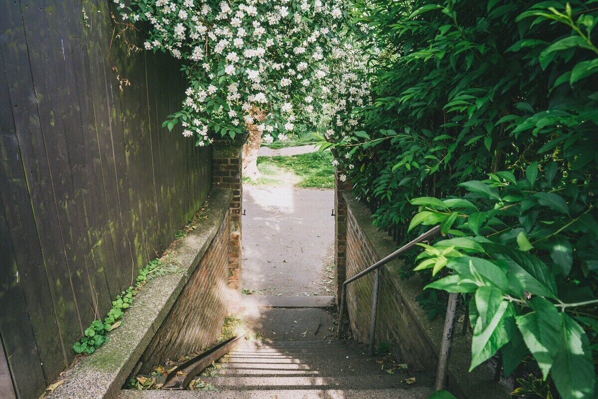 Terrein van de accommodatie