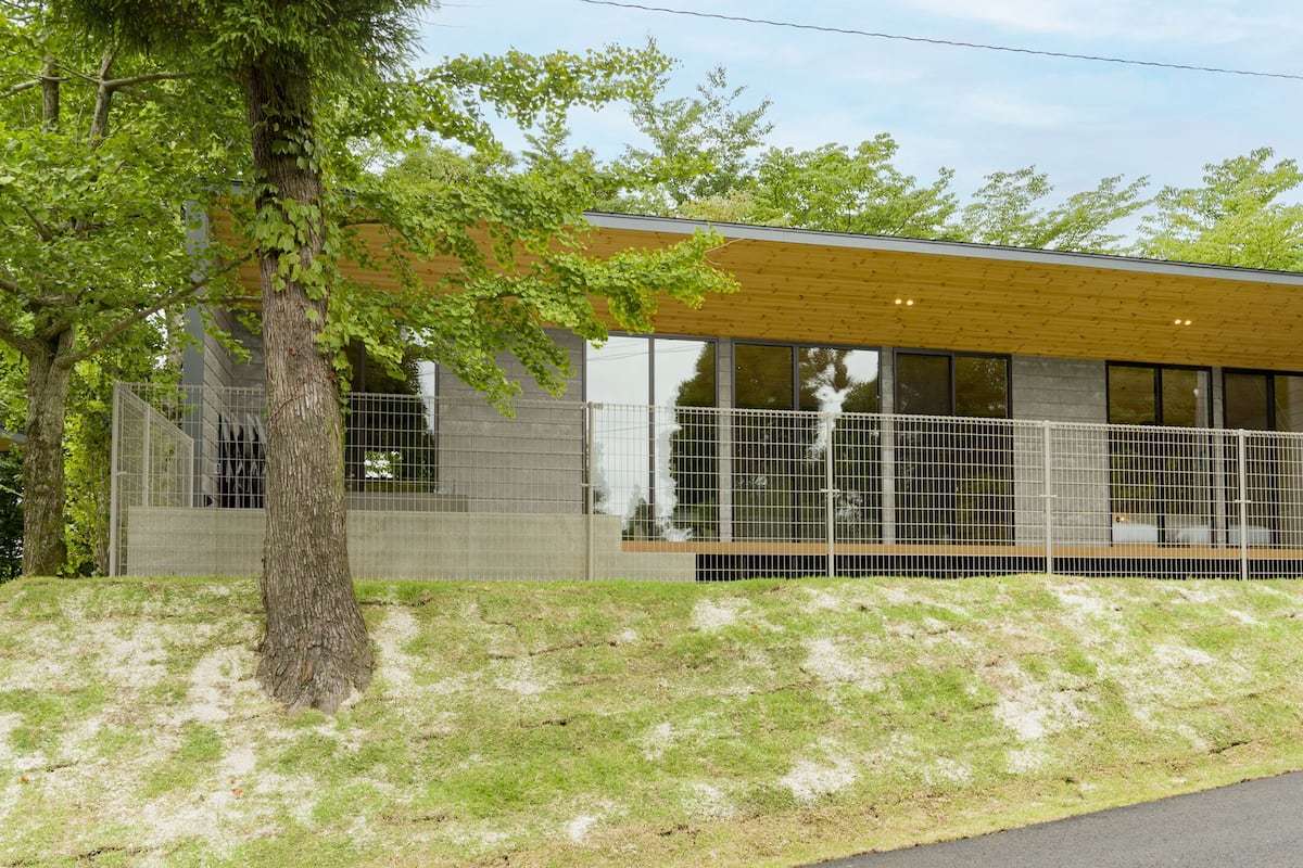 A modern building with a wooden roof, large windows, and a fenced area.