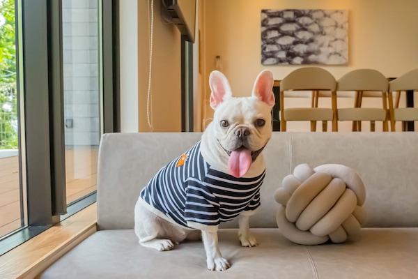 Biệt thự, không hút thuốc (105/1LDK, Pets Allowed) | 1 phòng ngủ, khu vực làm việc phù hợp cho laptop