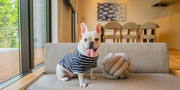 105/1LDK Villa [Pets Allowed]