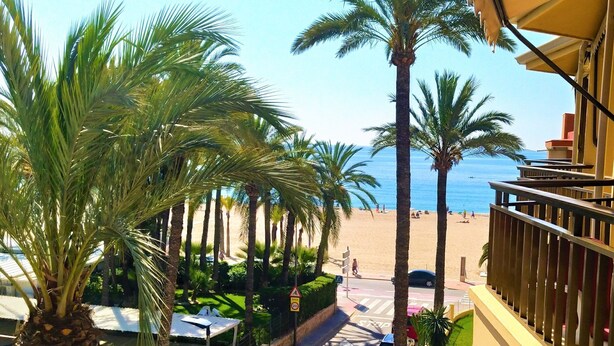 Une vue sur une plage bordée de palmiers, une route où circulent des voitures et un immeuble doté d’un balcon.