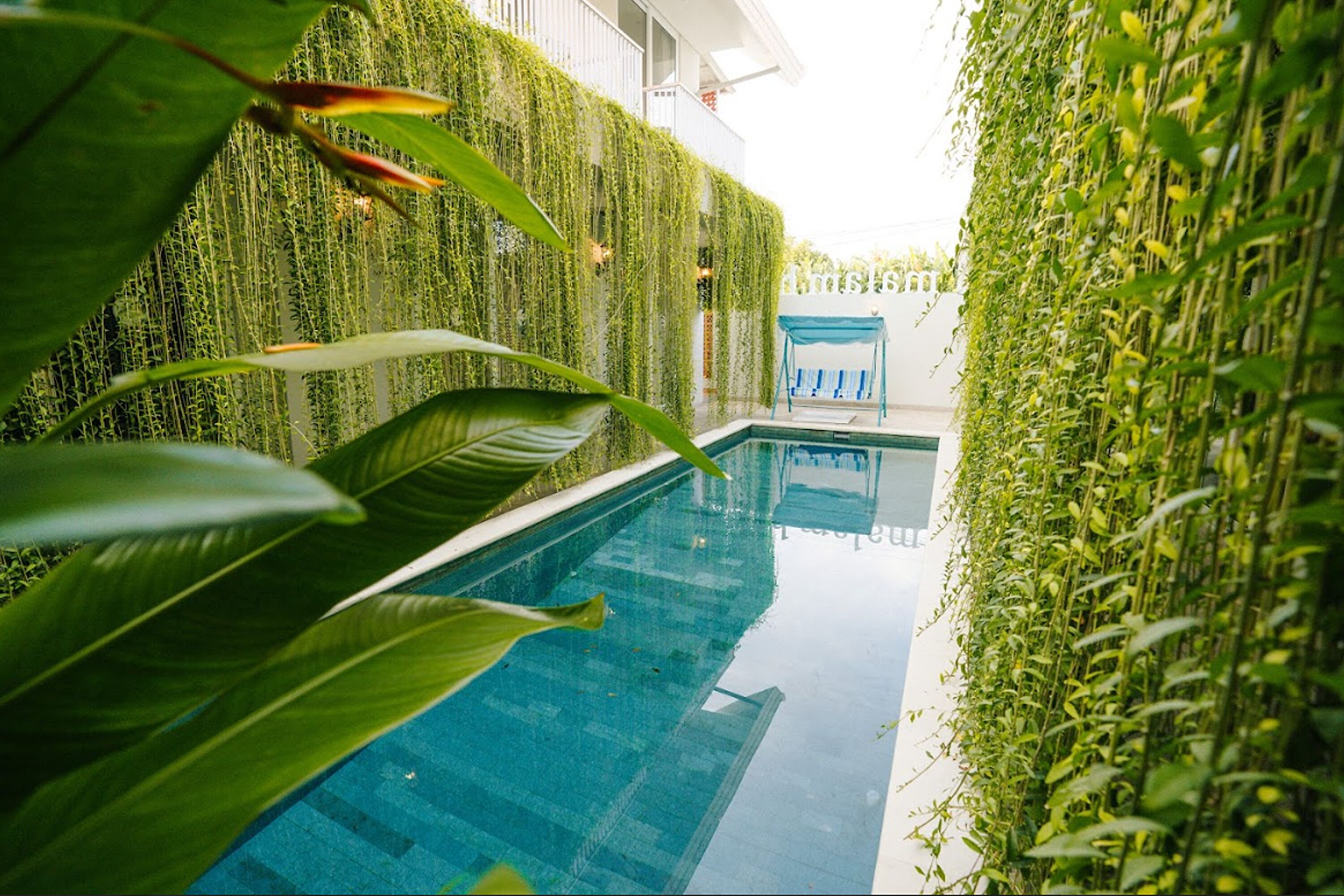 Hồ bơi ngoài trời 