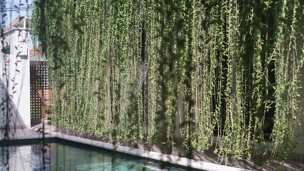 A pool with a hanging garden of green vines. - Malam Hari ApartHotel (Canggu)
