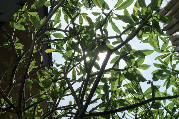 Blick von der Unterkunft