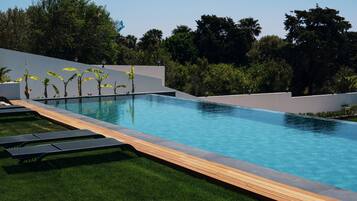 Une piscine moderne dotée d’une terrasse en bois, entourée d’une végétation luxuriante et d’un mur blanc.