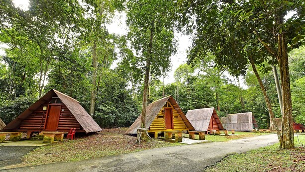 A row of wooden cabins with pitched roofs, surrounded by trees. - Spot ON 90536 Bens Maju Foreststay (Malacca City)
