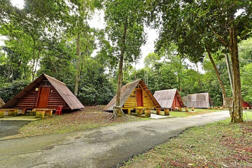 Spot ON 90536 Bens Maju Foreststay