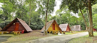 Spot ON 90536 Bens Maju Foreststay
