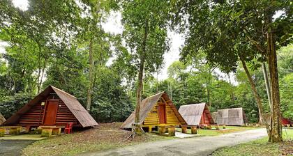 Spot ON 90536 Bens Maju Foreststay