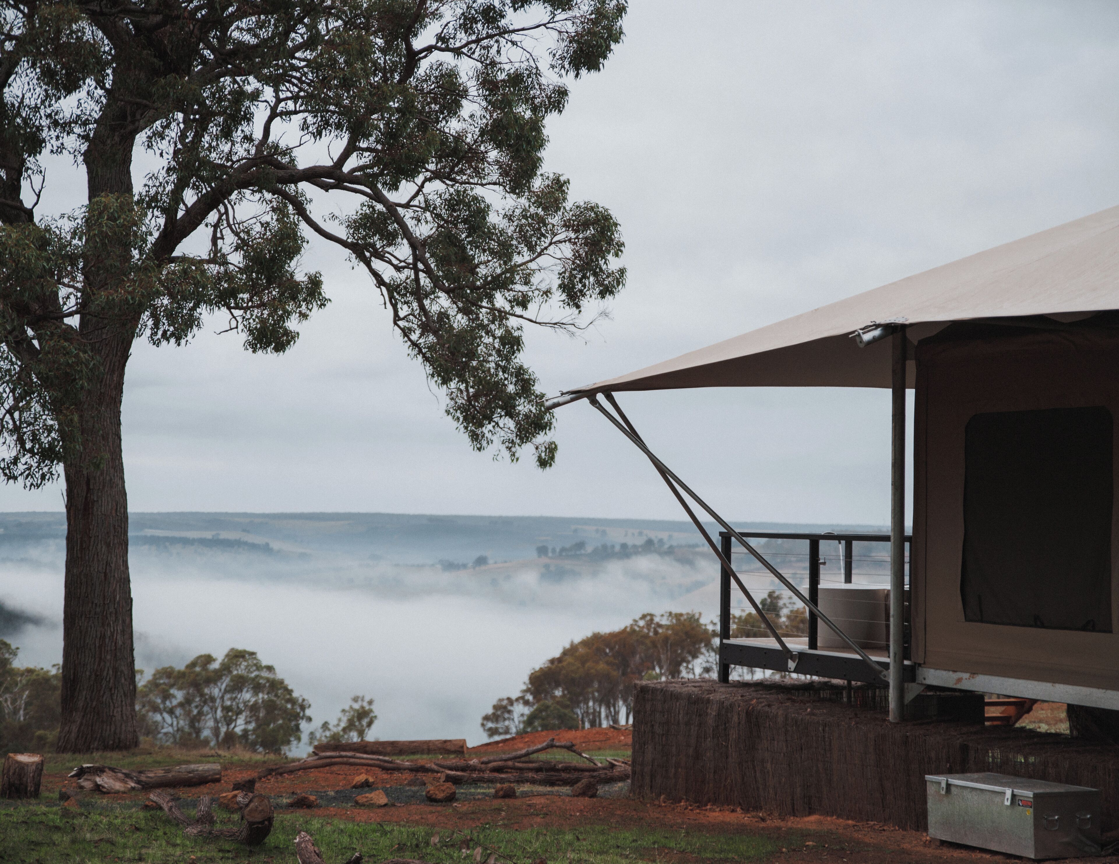 A camping site with a large tree, a tent, and a view of the valley.