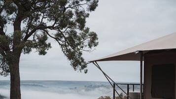 A camping site with a large tree, a tent, and a view of the valley.