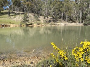 Exterior - Serenity Gully (Kangaroo Gully)