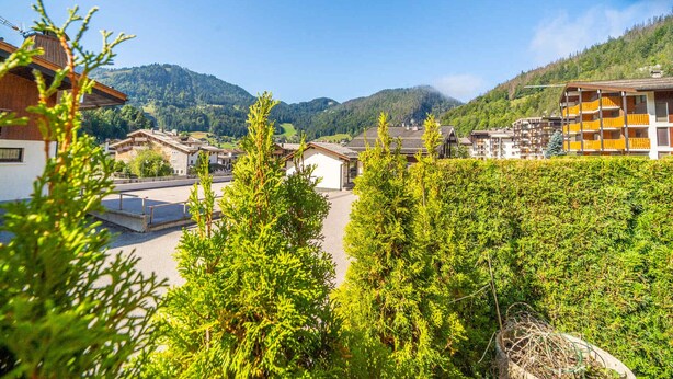 Ein Bergdorf mit traditionellen Holzhäusern, blauem Himmel und üppigem Grün.