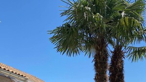 Un área de piscina con palmeras, un edificio blanco con techo de tejas y mobiliario exterior.