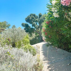 Terrein van de accommodatie