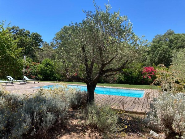 A heated pool