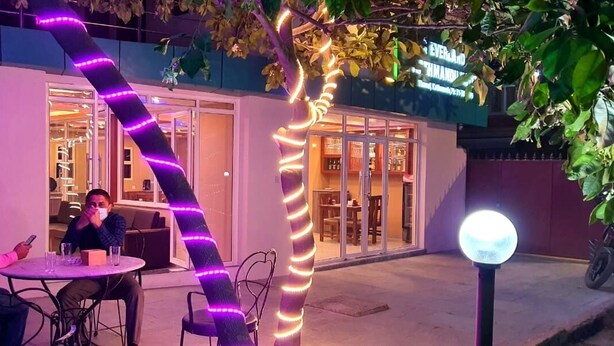An outdoor seating area with tables and chairs, a tree wrapped with decorative lights, and a building entrance with glass doors.