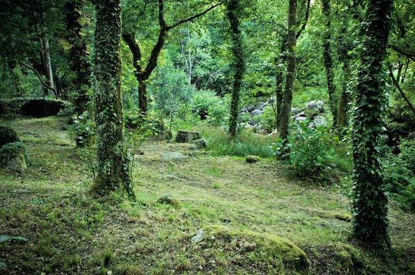 Property grounds - A Palleira, amplia suite al lado del río. (Pobra do Caramiñal ,A Coruña)