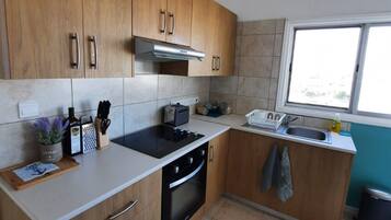 Standard-Apartment | Eigene Küche | Kühlschrank, Mikrowelle, Herdplatte, Toaster