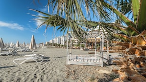 Una playa con tumbonas y una palmera.