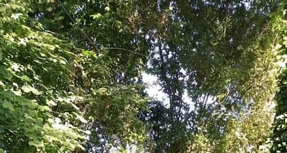 tout le confort au milieu d'un parc botanique de 2 hectares