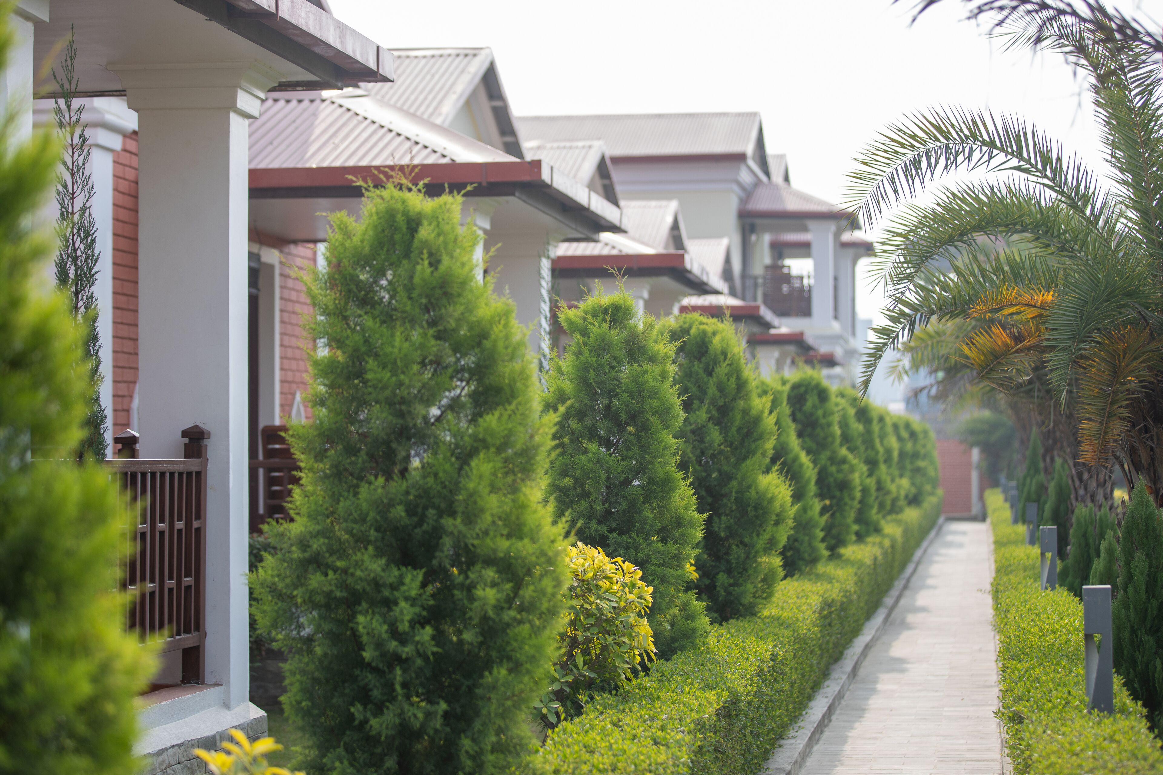 Une rangée de maisons modernes, dotées d’un jardin bien entretenu et d’un chemin.