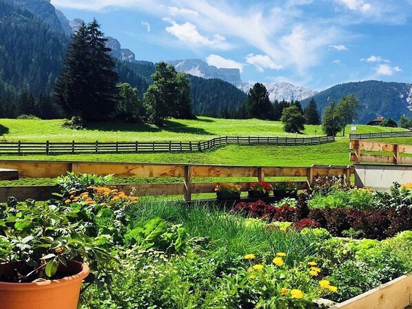 Jardines del alojamiento