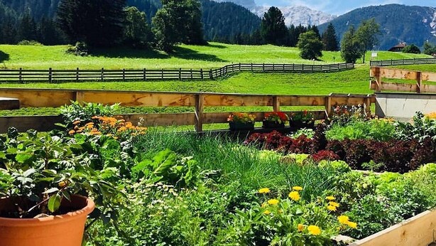 Ein Garten mit Holzzaun, Blumentöpfen und einer Berglandschaft im Hintergrund.