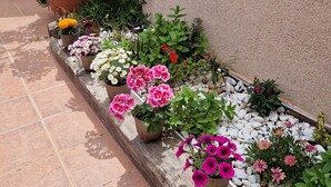 A garden with various potted plants and flowers along a tiled patio.