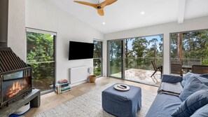TV, fireplace