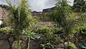 A rocky landscape with palm trees and a stone wall.