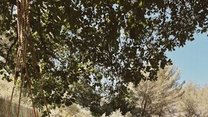 A backyard with a swing set, a pool, and a wooden fence. - Provencal villa 15 minutes from Cassis and the calanques (Gémenos)