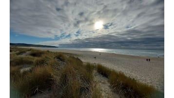 Plage à proximité, chaises longues, serviettes de plage