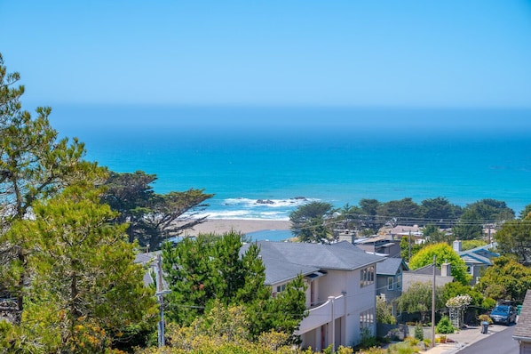A coastal residential area with houses, a beach, and the ocean.
