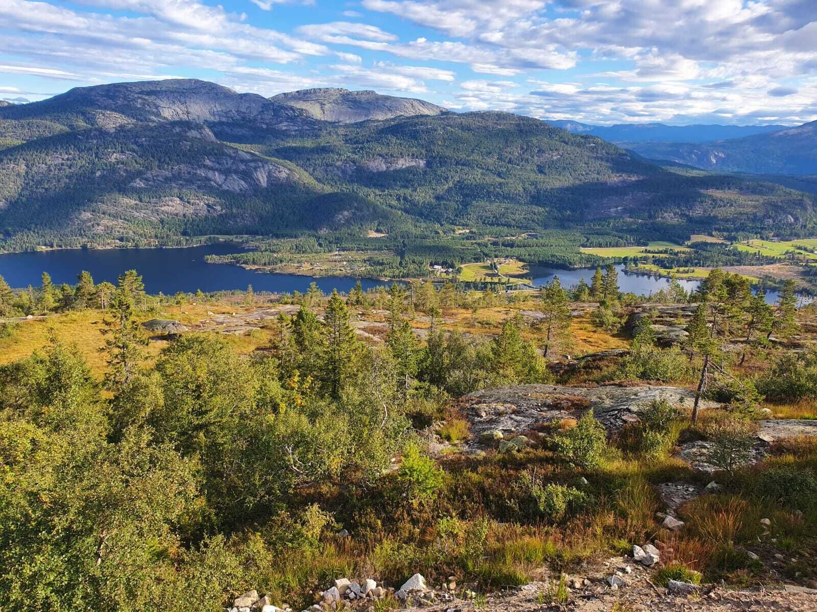 Eine Berglandschaft mit See und bewaldetem Gebiet.