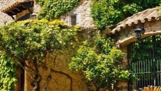 A rustic stone building with ivy-covered walls and a traditional tiled roof. - Masia Mimosa (Darnius)
