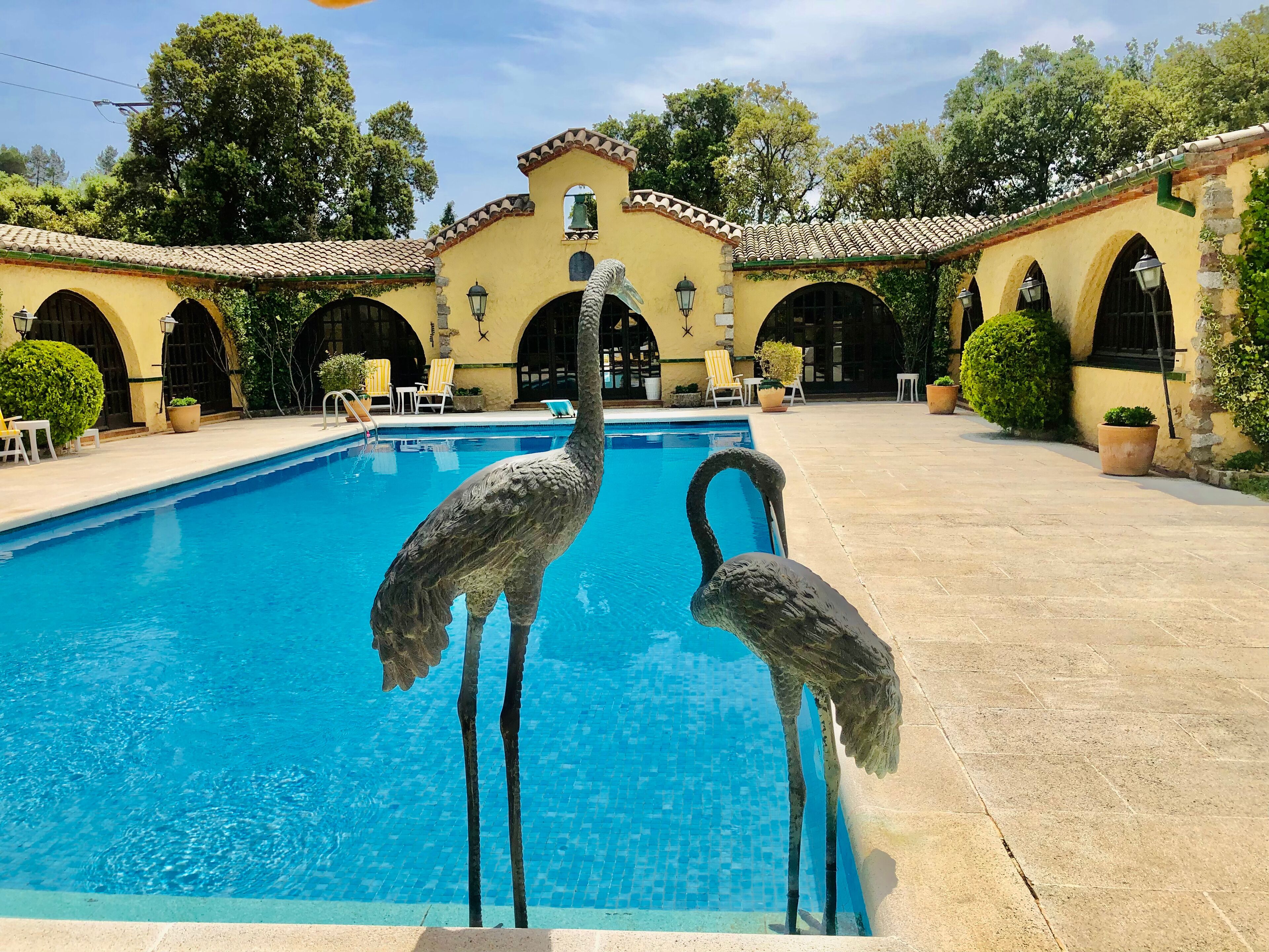 Una piscina con dos estatuas de aves, rodeada por un patio con arcos y plantas en macetas.