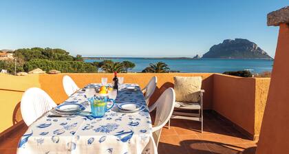 Il Vecchio Faro Dalia 6 50m From The Sea