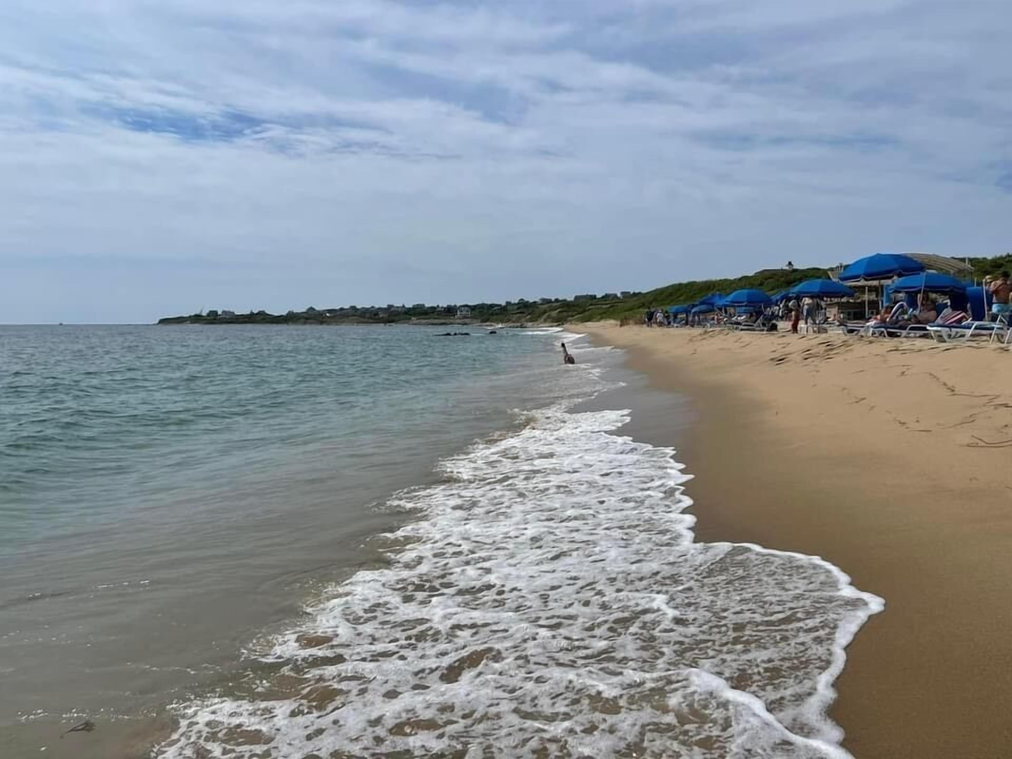 ビーチの近く、サンラウンジャー、ビーチタオル