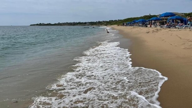 Una playa con olas acariciando la orilla, una hilera de sombrillas azules y una costa lejana con edificios.