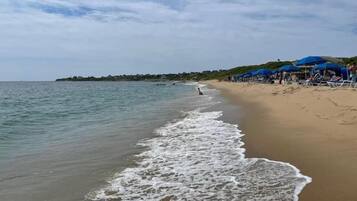 Plage à proximité, chaises longues, serviettes de plage