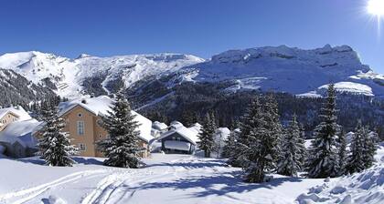 Chalet, vue pistes de ski, terrasse, cheminée ou poêle à bois, télévision, 110m², Flaine