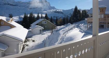 Chalet, view ski slopes, terrace, fireplace or stove, tv, 110m², Flaine