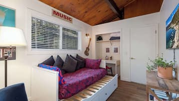 Smart TV, lareira, livros