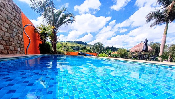 Une piscine d’un bleu éclatant, dont le fond est recouvert de carreaux, entourée de palmiers et bordée d’un mur de briques.