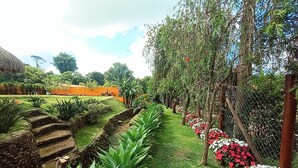 Un jardin avec un sentier, des plantes vertes et une clôture.