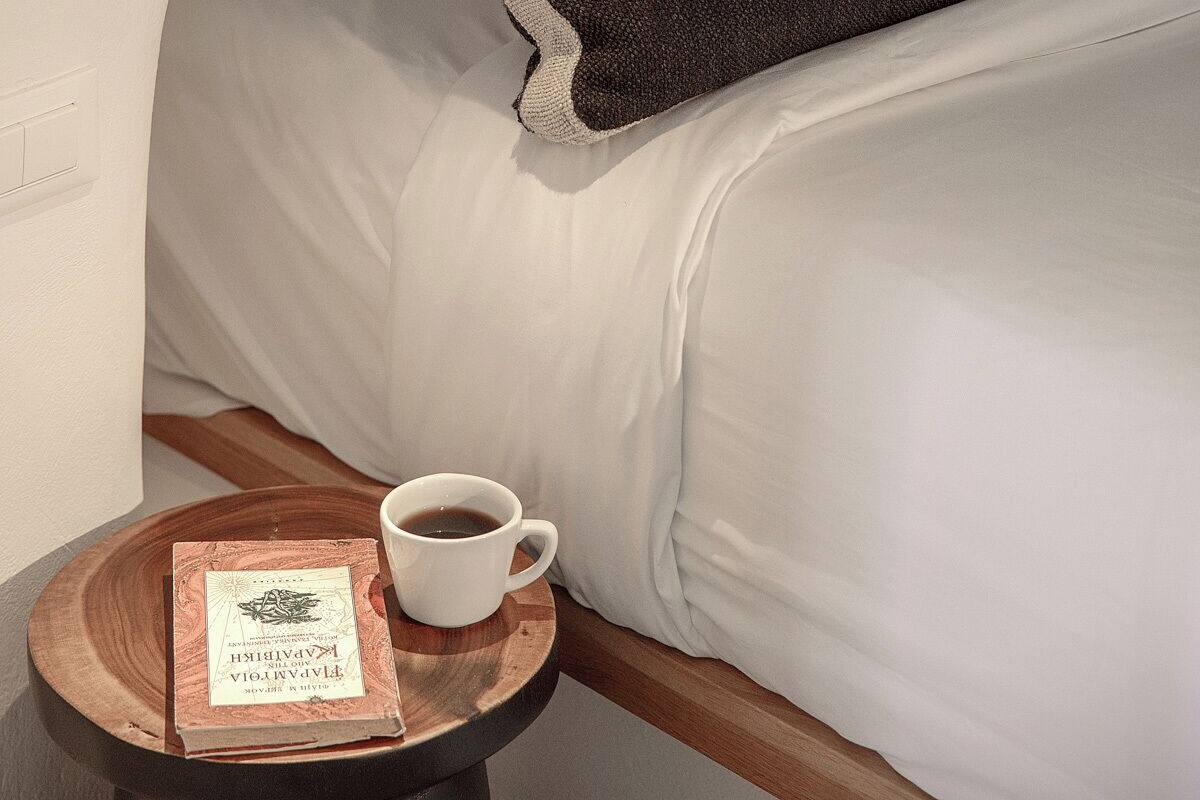 Phòng Suite Elite, 1 giường cỡ queen và sofa giường, quang cảnh biển, đối diện biển | 1 phòng ngủ, trang trí khác biệt